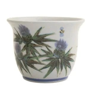 Medium Plant Pot - Thistle